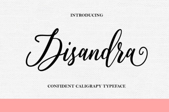 Disandra: The Font That Elevates Your Brand