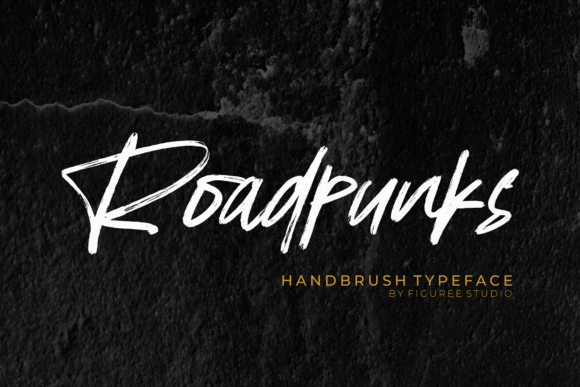 Discover the Soul of Roadpunks