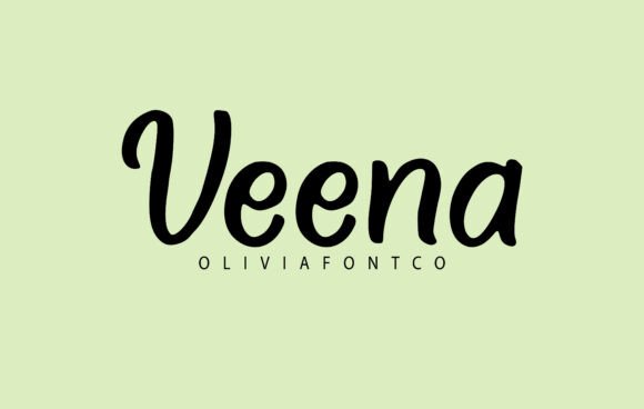 Veena: A Timeless Handwritten Font for Web Design